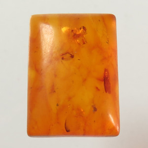 Gema de Ámbar Báltico Natural Ovalada Tipo Cabujón, Color Butterscotch, con Tamaño Personalizado y Calidad AAA - Product Image 5