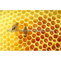 Miel pur naturel de qualité supérieure 100% en bouteille en provenance du Vietnam