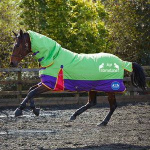 Mantas para Caballos de Invierno Impermeables de Alta Calidad, Color Marrón, Personalizables, para Proveedores Ecuestres, con Cuello Estándar - Product Image 2
