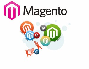 Diseño de Magento con Intellisense - Product Image 4