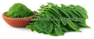 Produit d'agriculture d'extrait de poudre de feuille de Moringa séchée naturelle biologique USDA pour le renforcement du système immunitaire et la réduction des acides gras - Product Image 2