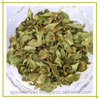 Poudre de henné à base de plantes, poudre d'inermis, cônes