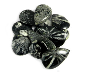 Cabochon แคสเปอร์100 Gms ดอกเบญจมาศธรรมชาติ,12ชิ้น - Product Image 5