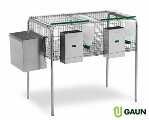 กรงกระต่าย1รัง1ช่อง Galicia โมเดล - Product Image 1