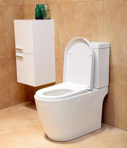 WC <span class=keywords><strong>Adam</strong></span> a due pezzi rotondo - Product Image 1