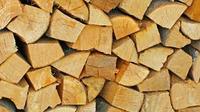 Bois de chauffage de haute qualité séché au four, comprend des grumes de chêne, de hêtre, de frêne, d'épicéa et de bouleau