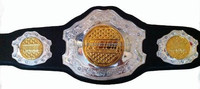 Ceinture de championnat personnalisable en métal réglable pour la lutte MMA – Offre spéciale pour événements de club