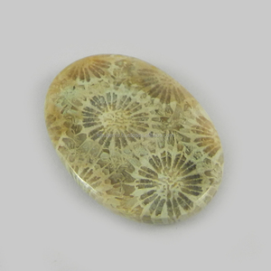 ปะการังธรรมชาติ28X20มม. Cabochon รูปไข่5.62 Gms อัญมณีหลวมสำหรับการทำเครื่องประดับ - Product Image 1