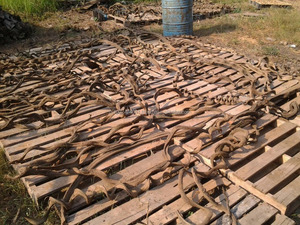 รากต้นดริฟท์วูดตู้ปลาประเทศไทย - Product Image 6