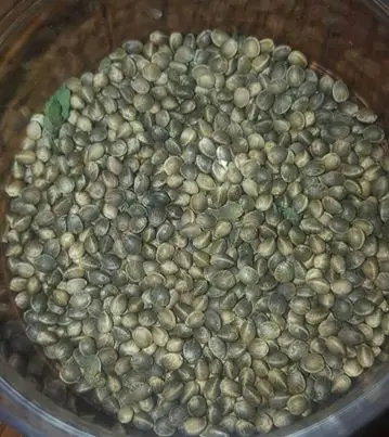 Hulled Hemp Seeds