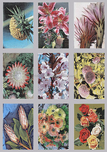 Postales de Papel con Flores Tejidas - Product Image 6