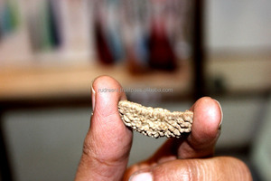 Rudraksha-cuentas para Rudraksha, 1 unidad, marrón, 10122740 - Product Image 3