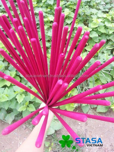 Varillas de incienso Agarbatti de alta calidad, cono de madera de 3mm para uso religioso y aromático, quemador de incienso en polvo Joss de estilo chino - Product Image 4