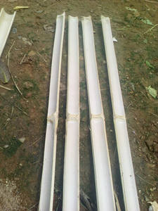 VIETNAM BAMBOU SPLITS POUR JARDIN/CONSTRUCTION - Product Image 3