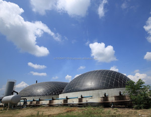 Microbios para la Degradación Anaeróbica de Residuos Orgánicos en Plantas de Biogás - Product Image 5