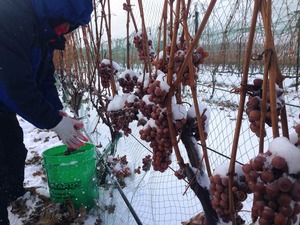 Asket Type Ice INE ine RESS achachine - Product Image 4