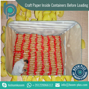 Pasta Corta de Macarrones Marca Bella, Certificación Halal, ISO 9001:2015, Alta Calidad, Precio Competitivo, Venta al Por Mayor en Bolsas - Product Image 5