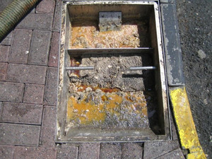 Produit bactérien pour le nettoyage du système septique à domicile - Product Image 3