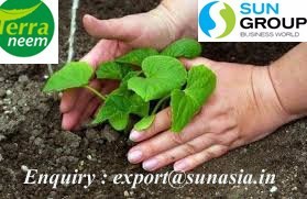 Fertilizante de Neem extraído de residuos de 100% granos de Neem por método prensado en frío utilizado en plantas y granjas - Product Image 3