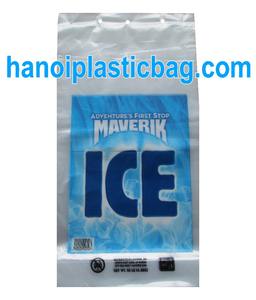 Bolsa de transporte con cabeza de bloque de plástico de hielo - Product Image 2