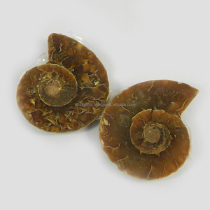 Gema Natural de amonita 9,85 Gms, 34x28mm, suelta, para fabricación de joyas, 1 par - Product Image 1
