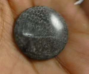 4.63 gms Natural Black Coral Cabochon Round 26mm Gemstone - Product Image 3