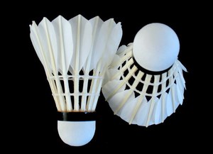 ลูกขนไก่แบดมินตันเกรด A ขนเป็ด สองชั้น หัวคอร์ก สำหรับฝึกซ้อม ขายส่ง - Product Image 3