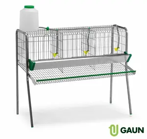 Batteria per galline ovaiole 3 scomparti