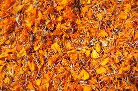 100% extrait de fleur de souci séché naturel de qualité alimentaire Type d'extrait de thé variété de thé noir emballé sous vide - Product Image 2