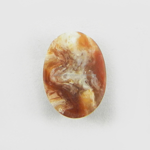 1.21gms โอปอลทรงไข่9.5x13.5มม. อัญมณีธรรมชาติคุณภาพสูงสำหรับเครื่องประดับมีสร้อยคอสีเงินสีน้ำตาลขาว - Product Image 2