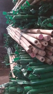 Buen Precio, Varas de Bambú Sólidas y Secas de Vietnam - Product Image 3