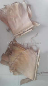 Hojas de extracto de plantas de plátano secas - Product Image 3