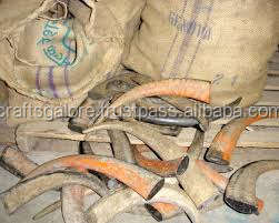 Cuerno de búfalo tallado de animales naturales vikingos indios, puntas sólidas, arte coleccionable disponible a granel en la India por Crafts Galore - Product Image 3