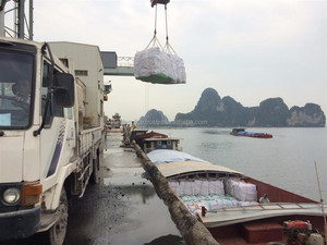 Cemento Portland PC40 a Granel para Exportación - Product Image 6