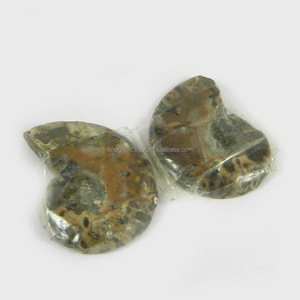 Pierre précieuse naturelle en amonite 23x17mm, 1 paire, 5 Gms, ample, pour la fabrication de bijoux, livraison gratuite - Product Image 2
