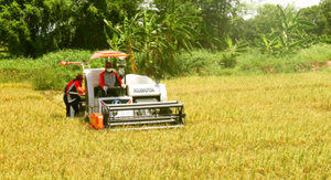 Kubota รถเกี่ยวข้าว DC-70 70HP ดีเซลเครื่องยนต์มืออาชีพคุณภาพสูงทันสมัยสำหรับการเกษตรและฟาร์ม