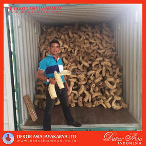 Terrario de Raíz de Bambú, Color Natural, Arte Popular, Decoración Coleccionable, Arte Asiático Indonesio, Tallado de Animales en Raíz - Product Image 4