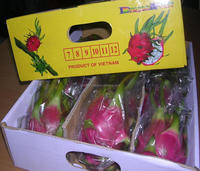 Vers Drakenfruit Uit Vietnam Terwijl Drakenfruit-Ms.Iris 84 932 848 526