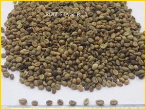 Robusta ออร์แกนิกและอาราบิก้าเมล็ดกาแฟเขียว13/16/18แบบคั่วทั้งแบบบรรจุในถุงปอกระเจาส่งตรงจากฟาร์ม - Product Image 4
