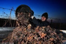 Máquina de prensa de vino de hielo tipo cesta/máquina extractora de jugo de fruta/máquina exprimidora de fruta - Product Image 4