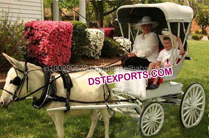 宗教的機能のためのインドのロイヤルウェディングシルバー馬車装飾バギ 