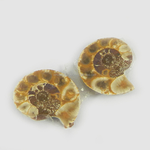 Pierres précieuses amonite naturelles en vrac, pour la fabrication de bijoux, forme libre, 1 paire, 20x17mm, 3.60 Gms - Product Image 1