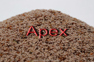 Cáscara de Psyllium 85%, 95% de 99% de Plantago Ovata Isapgol Isabgol cáscara - Product Image 5