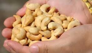 Premium Quality Cashew Nuts With Best Price All Grade W180 W240 W320 W450 - Product Image 4