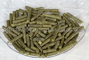 Moringa Samenkuchen Viehfutter Pellets