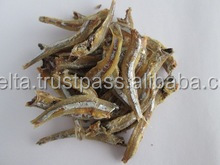 ESPADILLAS SECAS/PESCADOS ANCHOVY/ÁMBAR - Product Image 5