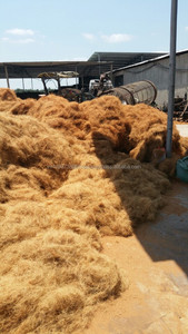 FIBRE DE NOIX DE COCO/CORDE DE COIR DU VIETNAM - Product Image 3