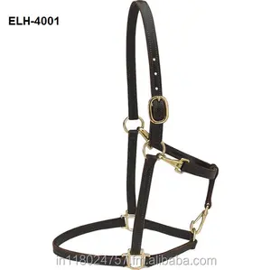 Distributor Halter Kulit Kuda Arab Pelangi