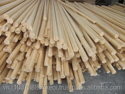 bambus friesenheim Bambus Simba (Fargesia murieliae 'Simba') | 60-80 cm im Topf