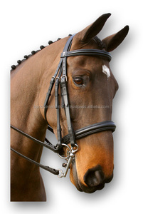 Caballo Doble Weymouth Brida brida elevada - Product Image 3